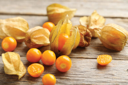 Ripe physalis on a grey wooden table